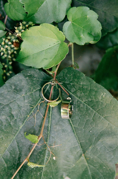 Timeless Hoops