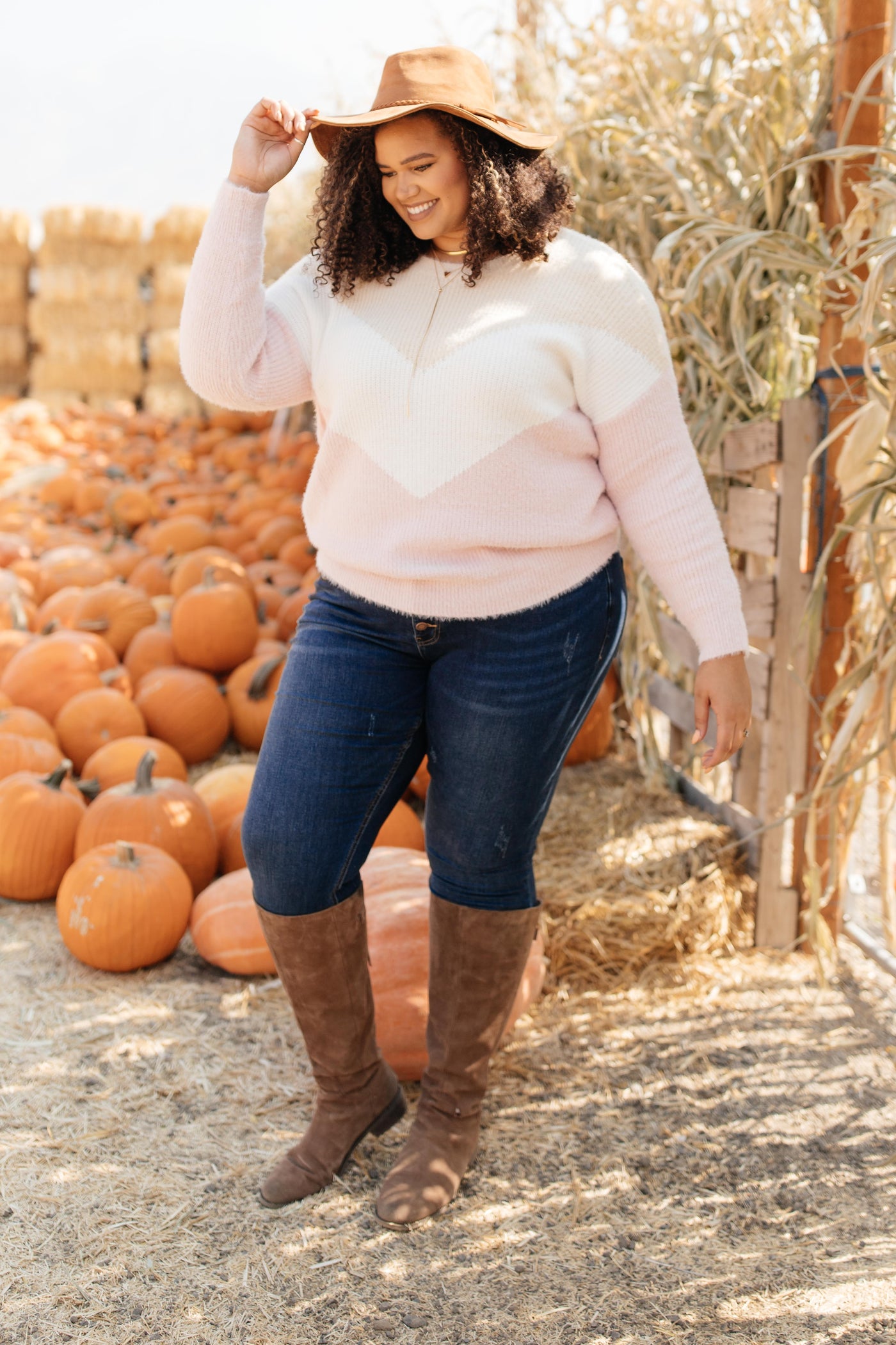 Melody Muted Chevron Sweater