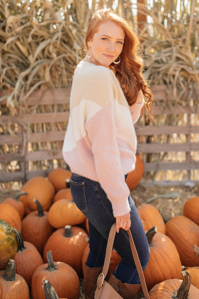 Melody Muted Chevron Sweater